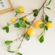 쏘앤영 仿真檸檬果實6入, 混合色, 6個