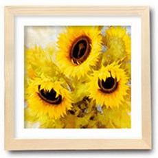 Hierly 方形彩色相框, 類型 3