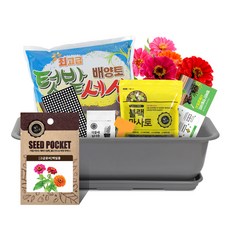 월드가드닝 뷰티6호 텃밭세트 커피컬러, 고급꽃씨 백일홍