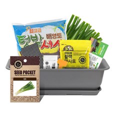 월드가드닝 뷰티6호 텃밭세트 진그레이, 대파