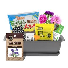 월드가드닝 뷰티6호 텃밭세트 커피컬러, 고급꽃씨 과꽃