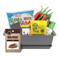 월드가드닝 뷰티6호 텃밭세트 커피컬러, 고추