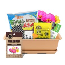 월드가드닝 베란다 정원 채소키우기 화분 분갈이 흙 씨앗 뷰티 6호 텃밭 9종 세트 커피색, 채송화