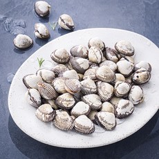 어부심 산지직송 갓 수확한 벌교 생물 새꼬막, 1kg(특대, 65~75알), 1개