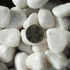 수아쿠아 네이처굿즈 백자갈 25~30mm, 1개, 2kg