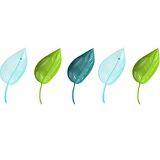 葉片注水器隨機發貨, 5個