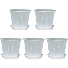 핫데이썸 화분 슬릿분 받침대 화분, 투명, 5개