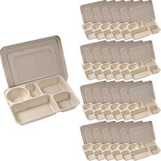 스완 대나무 펄프용기 샐러드 도시락 5구용기 뚜껑포함 1250ml, 1개입, 25개