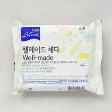 드빈치 웰메이드 체다 치즈, 18g, 10개입, 1개