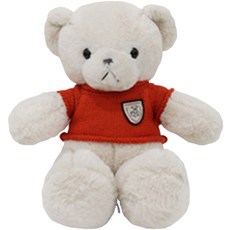 아이아라 시리즈 애착인형, 42cm, 2 주황 니트곰, 1개