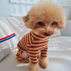 BAIGOEM 狗狗餅乾連身衣, 巧克力