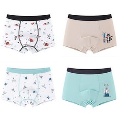 Aippum 男童款 浣熊與山羊 艾草色 四角平口內褲 4件組 C24