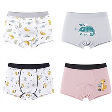 Aippum 男童狐狸與變色龍四角內褲4件組 C22
