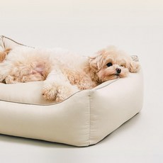 東遠Arrr New 坐墊, 迷霧摩卡, 1個