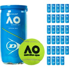 DUNLOP 澳洲網球公開賽 AO 比賽網球 2入, 黃色, 36個