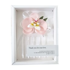 Rabida西洋梨零錢包盒子, 粉色