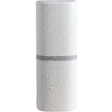 Plus It 旅行用牙刷盒 1 白色, 1個