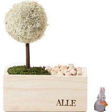 알레 실내 식물 스칸디아모스 트리편백 화분 내츄럴 + 피규어 랜덤발송 세트, 1세트