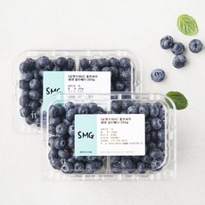 좋은하루 생생 블루베리, 200g, 2팩