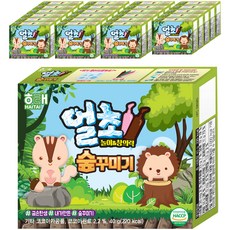 HAITAI 海太 森林巧克力DIY組, 24套, 托盤+奶管2p+深綠管+粉色管+白管