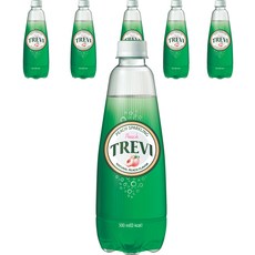 트레비 복숭아, 500ml, 6개
