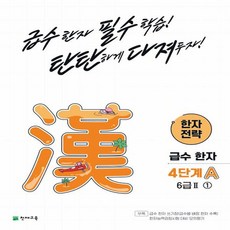 漢字戰略 A 6級II 1, 天才教育, 4階段, 漢字/漢文