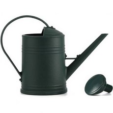 Anriini迷你澆花器 綠色, 1個