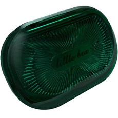 휴대용 투명 교정기 유지장치 틀니 케이스 대, 그린, 1개