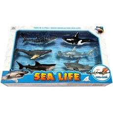 i-Friends 海洋回力車, 隨機出貨, 1個