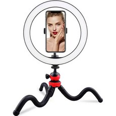 진영컴퍼니 프리미엄 문어발 카메라 본품 + 26cm 필라이트, 1개