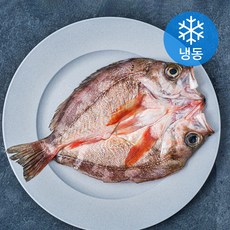 양포어장 국내산 손질 반건조 펼친열기 (냉동), 300g, 1개