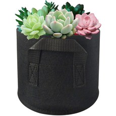 Dahaeyou IYAHO 華麗色彩多肉植物花盆, 黑色