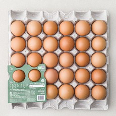 계림농장 동물복지 유정란, 1560g, 1개, 30구