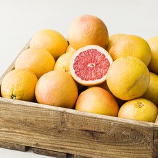 엠팍 이스라엘산 주스용 자몽, 4kg(10~16입), 1개