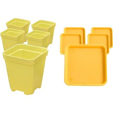 Mihwabujang 輕量馬卡龍色系 換盆 播種 育苗 扦插 方形迷你塑膠開縫花盆 + 盆托, 06黃色