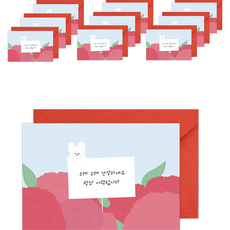 Donna&deco 家庭月感謝與愛康乃馨明信片10入 + 紅色信封10入 + 貼紙10入套組, 038 康乃馨花籃中的兔子, 1套