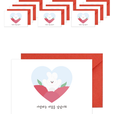 Donna&deco 家庭月感謝與愛康乃馨明信片10入 + 紅色信封10入 + 貼紙10入套組, 039 康乃馨愛心裡的兔子, 1套