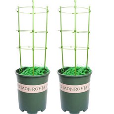 티그텔루 식물 원형 지주대 세트, 2세트