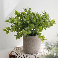 미스모네 조화 홈카페 생화같은 테이블 미니 꽃화분, 애플민트, 1개