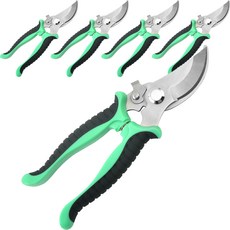 Monasif Baramangs 彩色園藝剪刀 綠色, 5個