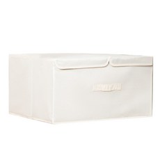 가정용 더블 뚜껑형 손잡이 리빙박스, 크림, 1개