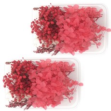 Maket Gamseong 永生花包裝材料 2入, 俱樂部01