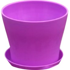 제이 다육이 화분, 퍼플