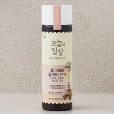 오늘의일상 얼그레이 밀크티 원액, 400ml, 1개