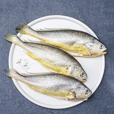 손질 부세, 450g(대,3마리), 1개