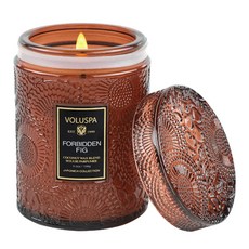 VOLUSPA 玻璃香氛蠟燭, 紫禁無花果, 156g, 1罐