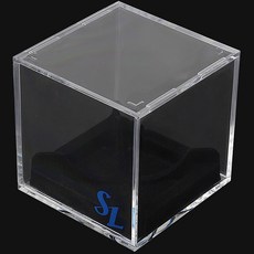 SAMSUNG Lions 三星獅 棒球盒, 透明