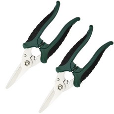Daily Living 不鏽鋼家用園藝剪刀 直刃 綠色, 2個