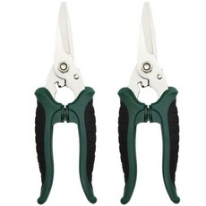 Modern Living不鏽鋼家用園藝剪刀 直刃 綠色, 2個