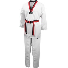 PUMA 跆拳道品勢服上下套裝